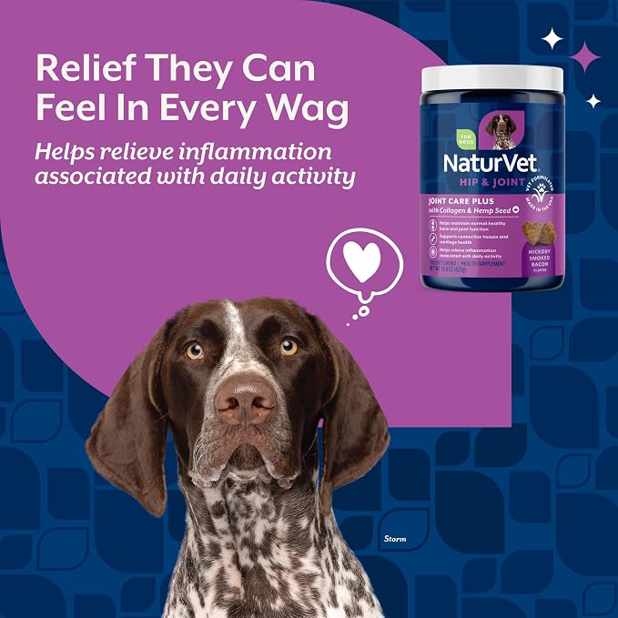 NaturVet Hemp Advanced Joint Health Dog Supplement Soft Chews –Helps Support Joint Health in Dogs – Includes Hemp Seed, Collagen, Glucosamine, MSM, Chondroitin, Omegas – 120 Ct.