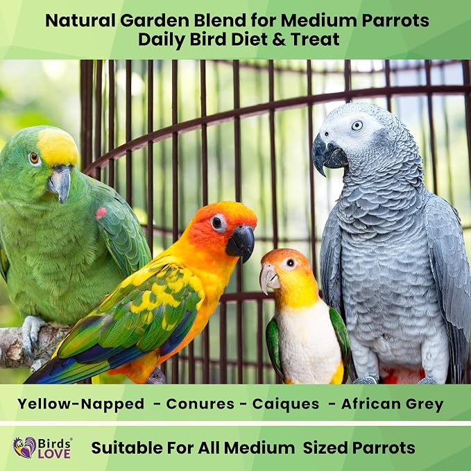 Birds LOVE Natural Garden Blend Conure Food, Sunflower Free Bird Seed Mix with Fruits, Nuts, Vegetables and Seeds, All Natural Daily Diet and Treat, 4 lb