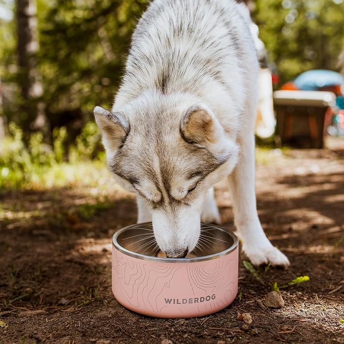 Widlerdog Stainless Steel Dog Bowl with Extra Durable Kitchen-Grade BPA-Free Stainless Steel with Non-Slip Rubber Ringed Bottom (Mustard, 64 oz)