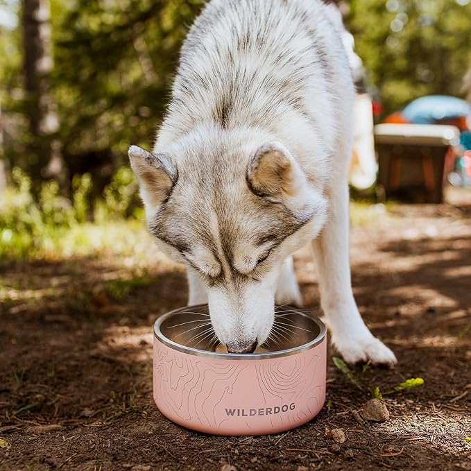 Widlerdog Stainless Steel Dog Bowl with Extra Durable Kitchen-Grade BPA-Free Stainless Steel with Non-Slip Rubber Ringed Bottom (Seafoam, 64 oz)