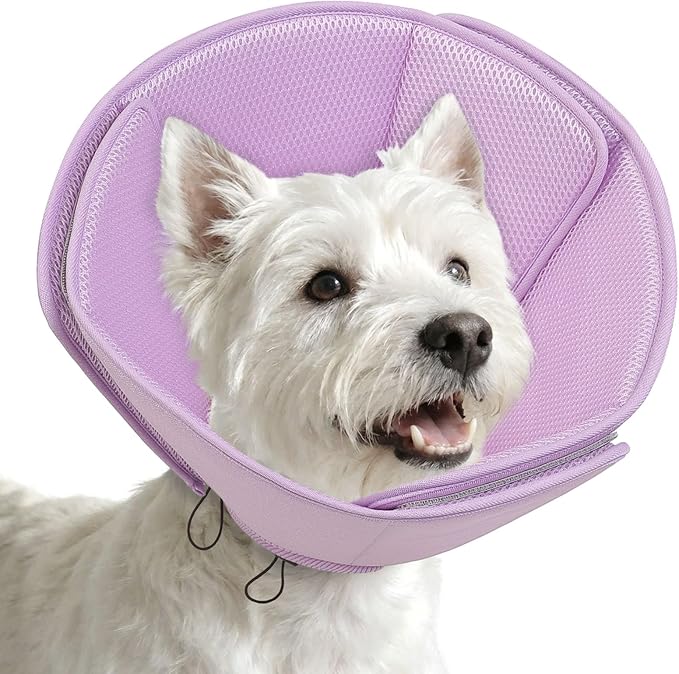 AOFITEE Dog Cones for Medium Dogs, Soft Dog Cone Collar After Surgery, Adjustable Cone for Dogs to Stop Licking, Breathable Pet E-Collar Alternative for Wound Healing(Purple,Medium)