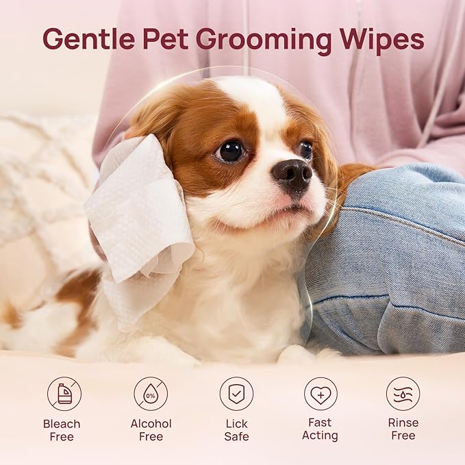 HICC PET Wipes for Dogs and Cats, Vet-Recommended Hypoallergenic Dog Wipes for Paws, Butt and Fur, Dog Cleaning Wipes & Dog Bath Wipes, Deodorizing Grooming Wipes for Dogs, Cats, Horse, 100 Count | Pet Wipes for Paws & Butt, Dog Bath Wipes, Deodorizing...