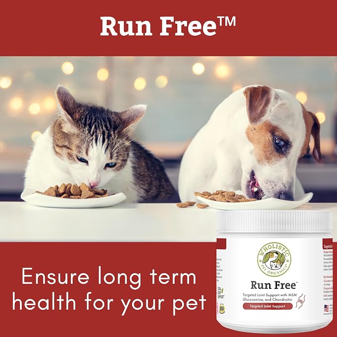 Wholistic Pet Organics Max Strength Hip and Joint Supplement for Dogs & Cats - Cat & Dog Joint Supplement Powder, Chondroitin & MSM to Support Mobility - Glucosamine for Dogs & Cats - 8 oz - 56 Scoops
