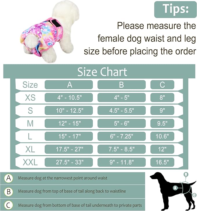 Female Dog Diapers 5Pcs - Premium Reusable Diapers for Doggie in Heat - Highly Absorbent Dog Diapers Female for Pet Incontinence with Adjustable Snaps, Rainbow, XL