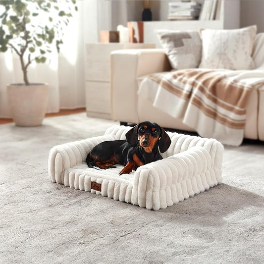 Orthopedic Dog Bed Small Pet Beds with Removable Washable Cover, Couch-Like Sofa Design for S to XXL Dogs Up to 15 lbs, with Soft Short Plush Surface & Foam, 24x18x8 Inch, Cream