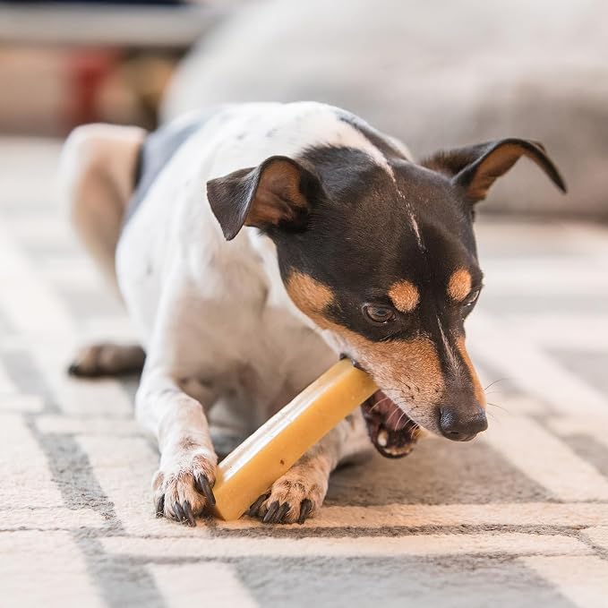 Authentic Himalayan Natural Dog Cheese Chew (Pack of 4 Large & XLarge Chews), Premium Organic Yak Chew, Keeps Your Dog Busy, Ideal for Indoors and Outdoors Use