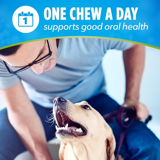 Dentalife ActivFresh Pack of 4 Dog Chews for Small Dogs, Dental Chews to Freshen Breath, Chicken Flavor, 13.5 oz. Each, 45 Each/90 Total - 45 Ct. Pouch
