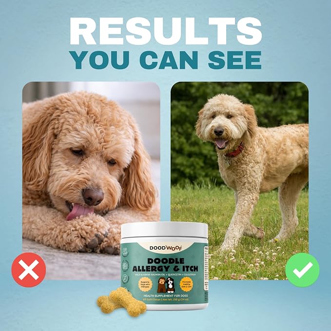 DOOD WOOF Dog Allergy Chews - Itch Relief for Doodles - Vet Formulated - 60 Count Soft Chew Supplement - Skin and Seasonal Allergy Support