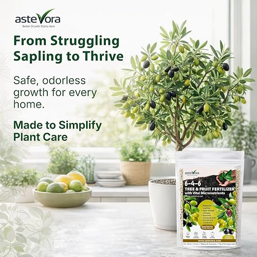Olive Tree Fertilizer – Fruit Tree Fertilizer for Olive Tree, Citrus, Lemon, Lime, Fig, Avocado, Mango, Apple & Pomegranate – for Potted & Outdoor Trees (1/2 Quart - 1 lbs.)