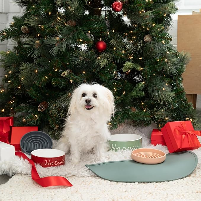 Should We Go? Waterproof Silicone Dog Food Mat – Large Size Non-Slip Pet Bowl Mat, Raised Edge Design, Easy-to-Clean Pet Food Placemat for Dog & Cat Bowls, 28" Across x 14" Deep - Spruce