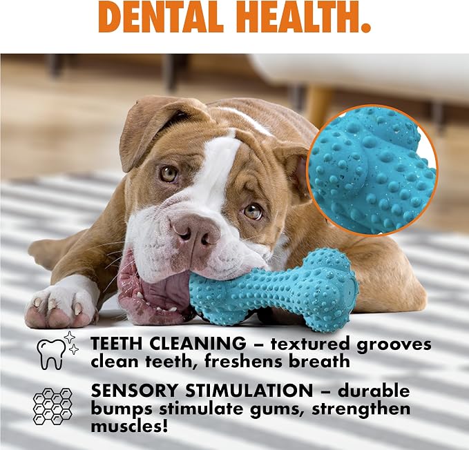 Max Fusion Made with Nike Grind, Arlee Rubber Bone Dog Toy, Dog Toys for All Dogs, Blue Durable & Natural Rubber Chew Toy for Play, Fetch, Tug & Chewing, Large, 1 Count