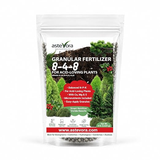 ASTEVORA Evergreen Fertilizer – All-Purpose Granular Plant Food for Outdoor Trees and Shrubs, Azaleas, Magnolias, Pines & Arborvitae – Slow-Release Formula (4 quarts)