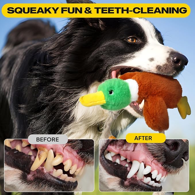 Fida Dog Rope Toys and Duck Dog Rope Toys Set, Dog Toys to Keep Them Busy, Squeaky Dog Toys for Large Dogs, Intactive Dog Rope Toy Plush Duck Dog Toys for Small Medium Dogs