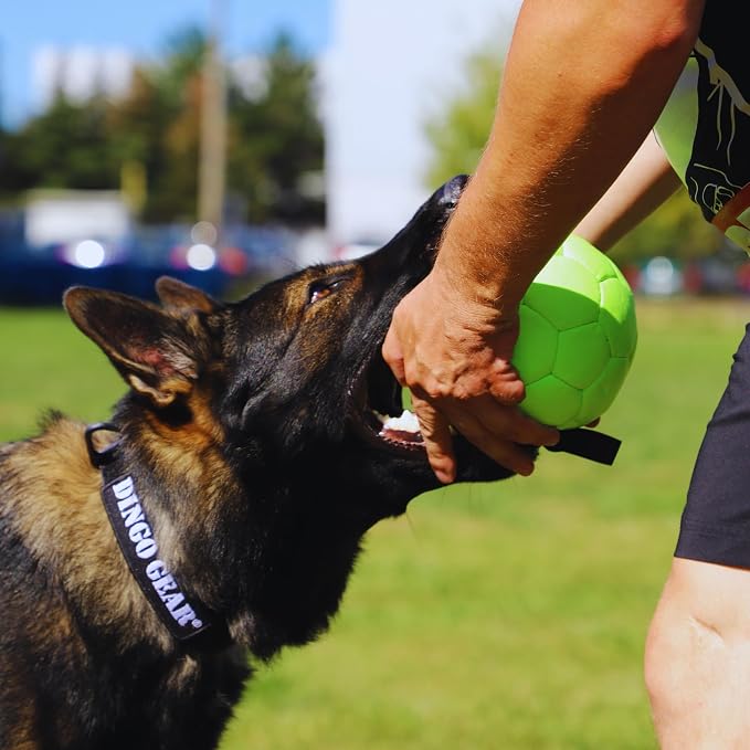 DINGO GEAR WWW.DINGOGEAR.COM 1977 Faux Leather Ball for Dog Training, as Reward for Fetch tug of war, for Strong Dog, Handmade, 7in Green S02699