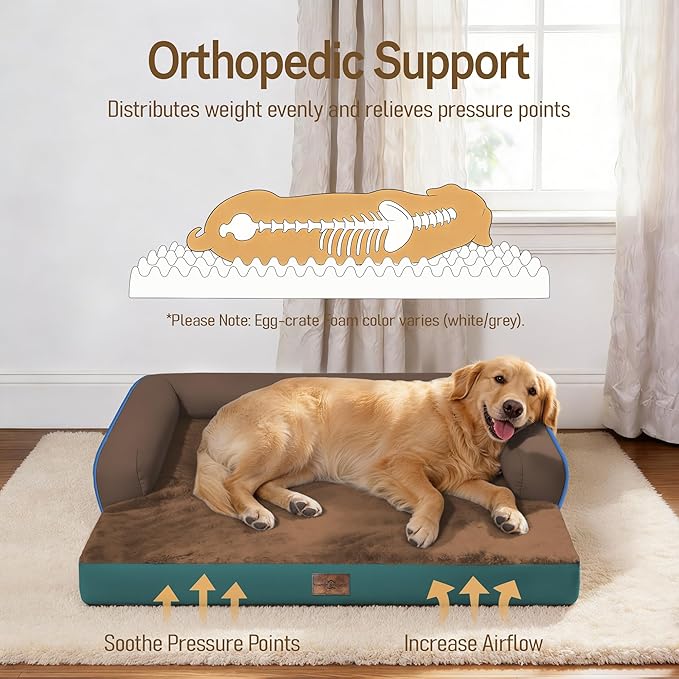 Comfort Expression Memory Foam Dog Bed for Large Medium Sized Dogs - Washable Dog Beds Waterproof Orthopedic Pet Couch Sofa Bolster with Removable Cover, 36 x 27