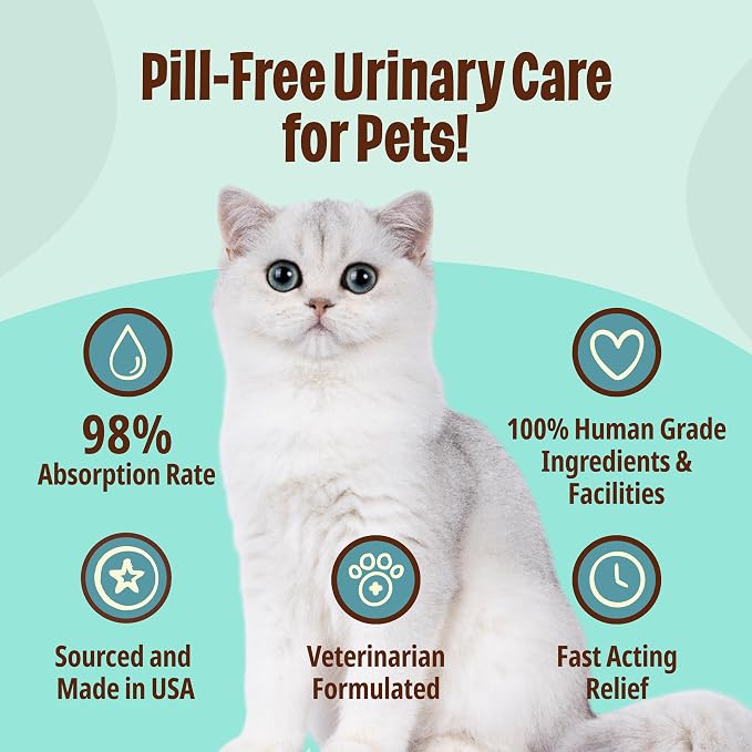 Licks Urinary Tract Care - Fast-Acting Urinary & Bladder Health Support for Cats - Cranberry, D-Mannose, Omega 3 & L-Lysine - Pill-Free Gel Packets - Savory Flavor - 10 Packets