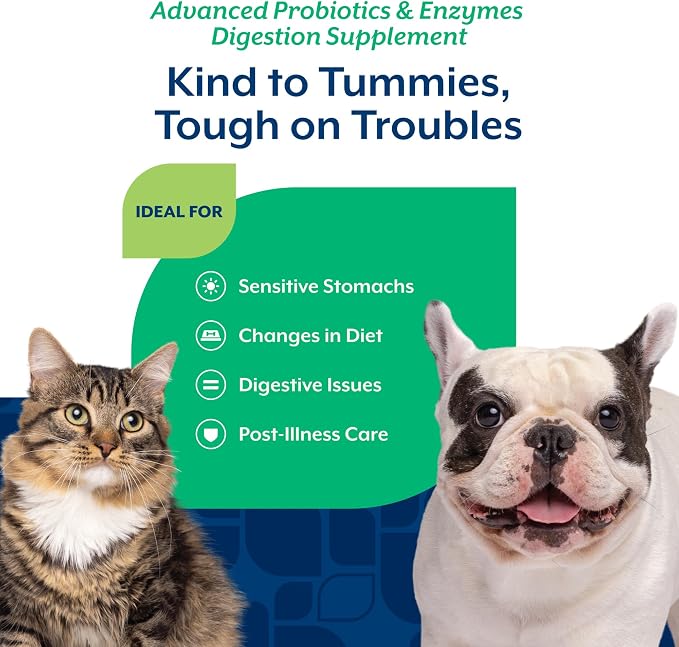 NaturVet – Advanced Probiotics & Enzymes - Plus Vet Strength PB6 Probiotic | Supports and Balances Pets with Sensitive Stomachs & Digestive Issues | for Dogs & Cats (4 oz)