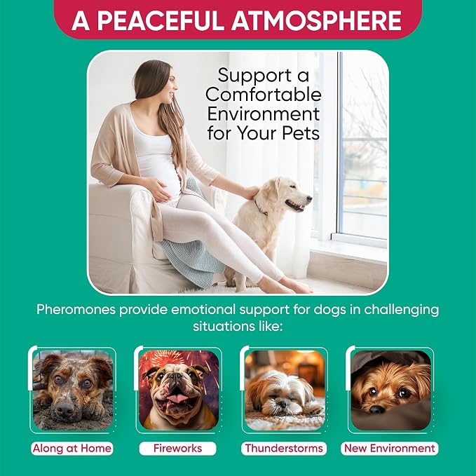 Calming Diffuser for Dog: Appeasing Dog Pheromones Calming Diffuser Plug in Kit for Separation Anxiety, Stress Chewing, Peeing Accidents, 2 Diffusers + 4 Refills (Teal)