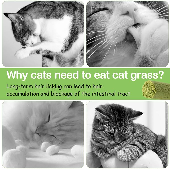 50g Cat Grass Teething Stick, Freezed Drying Cat Grass Sticks Snacks for Cats, Edible Cat Treats for Teeth Cleaning and Hairball Removal