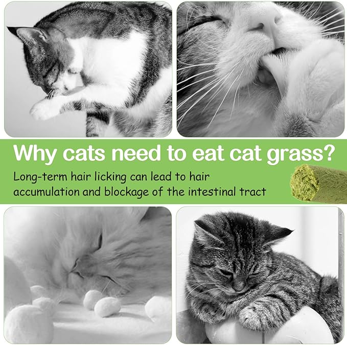 100g Cat Grass Teething Stick, Freezed Drying Cat Grass Sticks Snacks for Cats, Edible Cats Treats for Teeth Cleaning and Hairball Removal