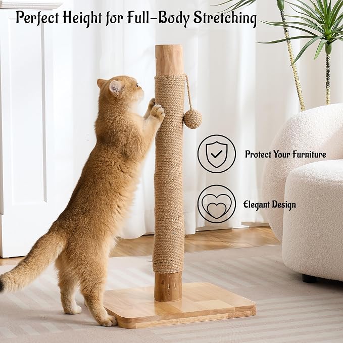 29" Tall Solid Wood Cat Scratching Post for Indoor Cats, Extra Stable Heavy Base, Natural Sisal Scratcher with Hanging Ball, Furniture Protector for Kittens & Adult Cats, Beige