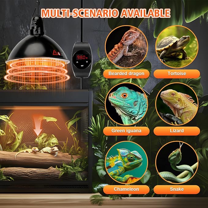 XFP Reptile Light Fixture with Thermostatic Timer, 5.5'' Reptile Heat Lamp Fixture, Added Switch Control Function with 300W Heat Lamp Bulbs for Reptile Glass Terrariums