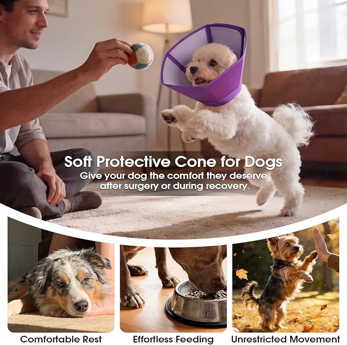 Soft Elizabethan Collar for Dogs After Surgery, Comfortable Protection Alternative for Surgery, Spay, Injury, Skin Treatment, Anti-Licking Recovery Cone Comfortable Neck Guard, Purple, Size L