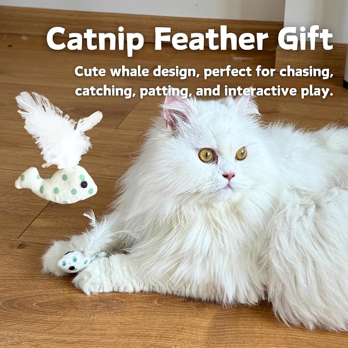 CECE PAW Carrot Treat Puzzle + Lick Mat + Catnip