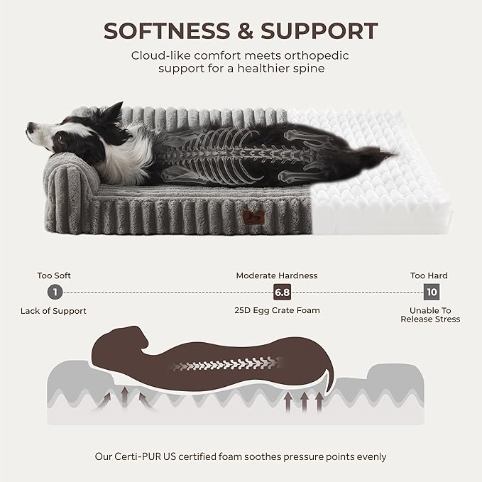 Orthopedic Dog Bed XL Pet Beds with Removable Washable Cover, Couch-Like Sofa Design for S to XXL Dogs Up to 90 lbs, with Soft Short Plush Surface & Foam, 42x30x9.5 Inch, Grey