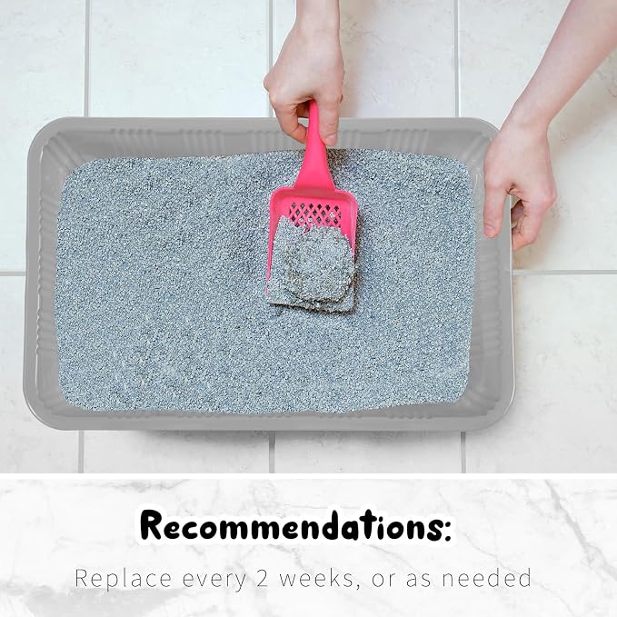 Tessco for you 30 Pack Disposable Cat Litter Boxes, Plastic Leakproof Litter Trays for Cats, Disposable Travel or Temporary Litters Pan for Kittens and Small Pets, 16.7 x 10.5 x 3.4 Inch(Gray)