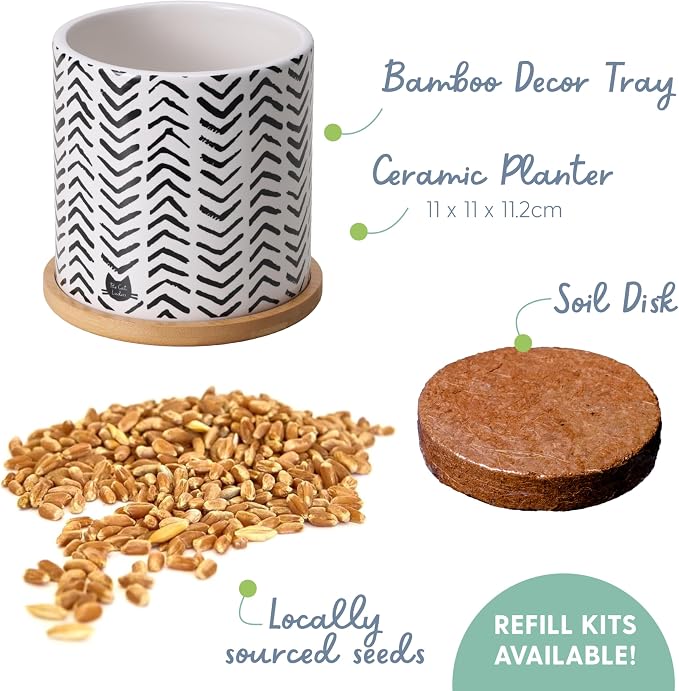 The Cat Ladies Organic Cat Grass for Indoor Cats - Growing Kit with Organic Seed Mix, Soil and Boho Planter with Bamboo Tray. Natural Hairball Control and Digestion Remedy, Cat Gifts