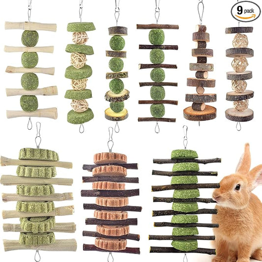ERKOON Bunny Chew Toys, Rabbit Chew Toys for Teeth Grinding, Improve Dental Health, 100% Natural Apple Wood Timothy Grass Cake Treats for Rabbits Guinea Pigs Chinchillas Bunnies Hamsters (9 Pcs)