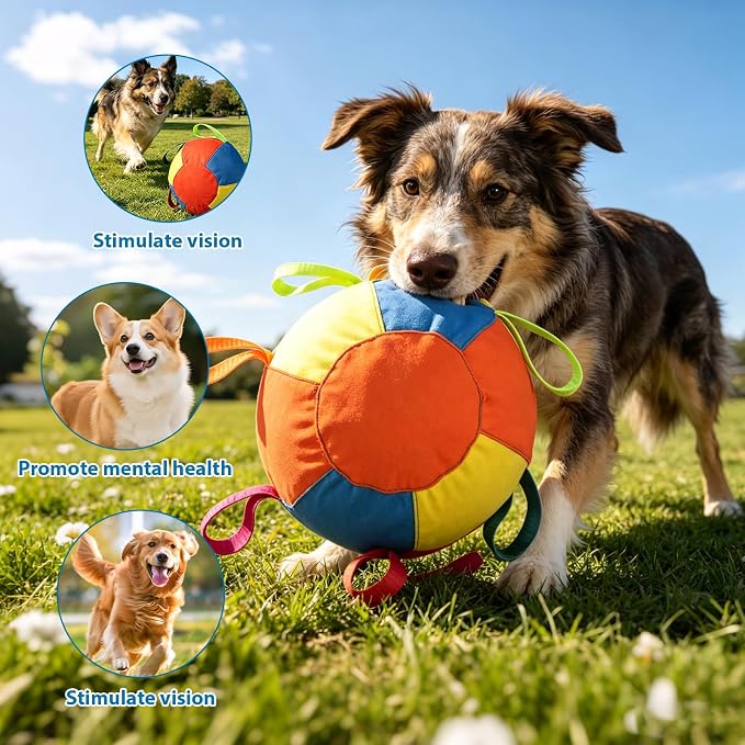 ZRW Calming Jumbo Ball for Dogs,Herding Ball for Dogs,Durable Tear-Resistant Inflatable Big Ball,Resistant Inflatable Big Ball with Handle Cover & Pump for Play & Exercise Dogs-(9.84in)