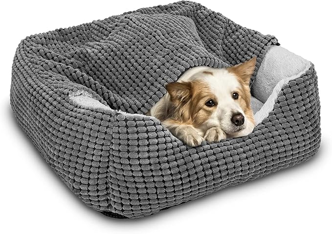 GASUR Dog Beds for Small Dogs with Cover Cave, Cat Beds for Indoor Cats, Rectangle Hooded Dog Puppy Bed with Blanket, Cozy Anti-Anxiety, Anti-Slip Bottom and Machine Washable (20", Grey)