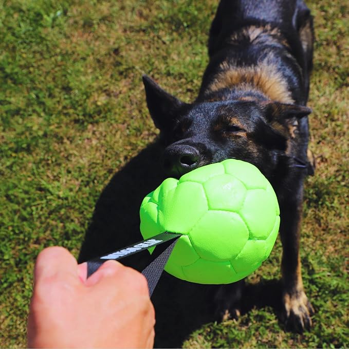 DINGO GEAR WWW.DINGOGEAR.COM 1977 Faux Leather Ball for Dog Training, as Reward for Fetch tug of war, for Strong Dog, Handmade, 7in Green S02699