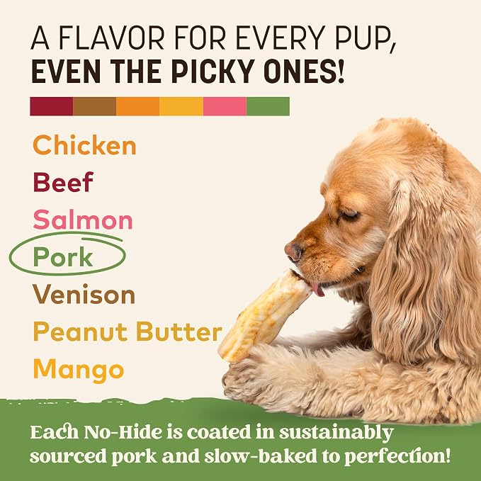 Earth Animal No Hide Chews - Long Lasting Rawhide Free Small Dog Chews Rolls, Pork - 2 Count