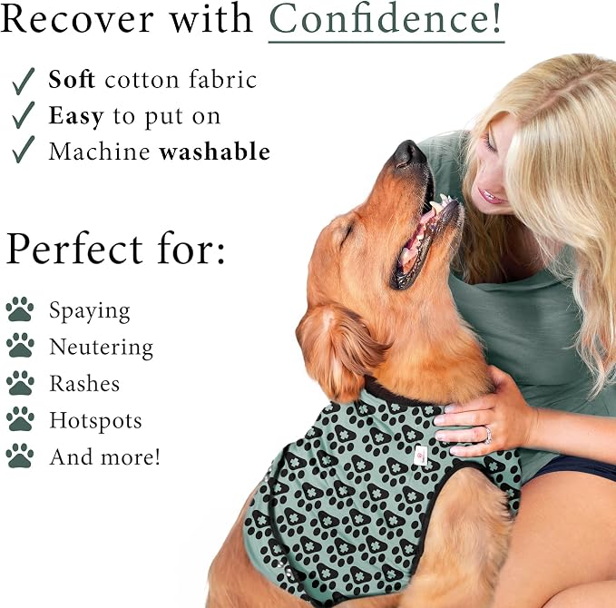 BellyGuard Dog Surgery Recovery Suit, Post-Op Dog Recovery Suit for Female Spay & Male Neuter, Comfy Onesie for Pets, Surgical Body Cover for Canine Healing Support