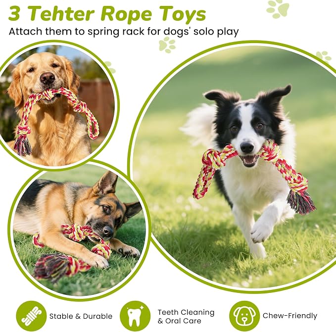 360° Rotation Tether Outdoor Dog Rope Toy, Exercise Tug Of War Dog Toy in Yard/Park/Lawn, Dog Training 3 Rope Toys, 2 Strengthen Spring Poles, Self Play and Interactive Toy for Large Medium Small Dog