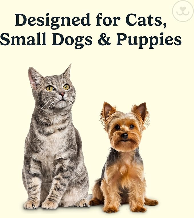 Jasper Microbrush Vet Approved Cat Toothbrush, Soft-Bristled Toothbrush Kit for Felines & Small Dogs, Non-Slip Handle with 2 Replaceable Tooth Brush Heads, Use with Cat Toothpaste, 2-Pack, Gray Mist