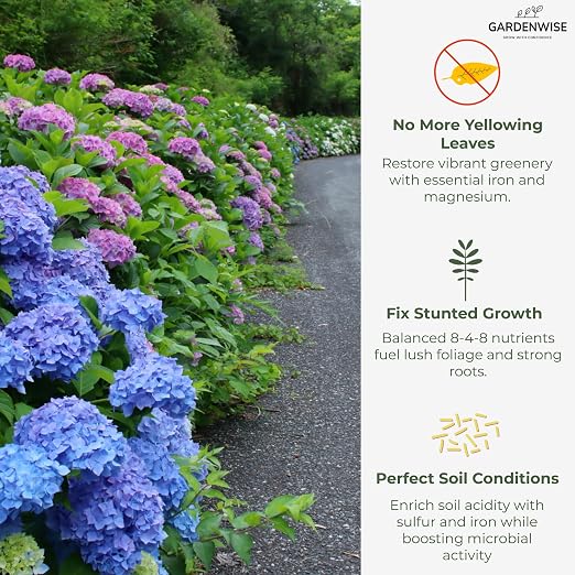 GARDENWISE Slow Release Hydrangea Fertilizer with Iron & Sulfur – Indoor & Outdoor Soil Acidifier for Miracle Growth (12 oz)