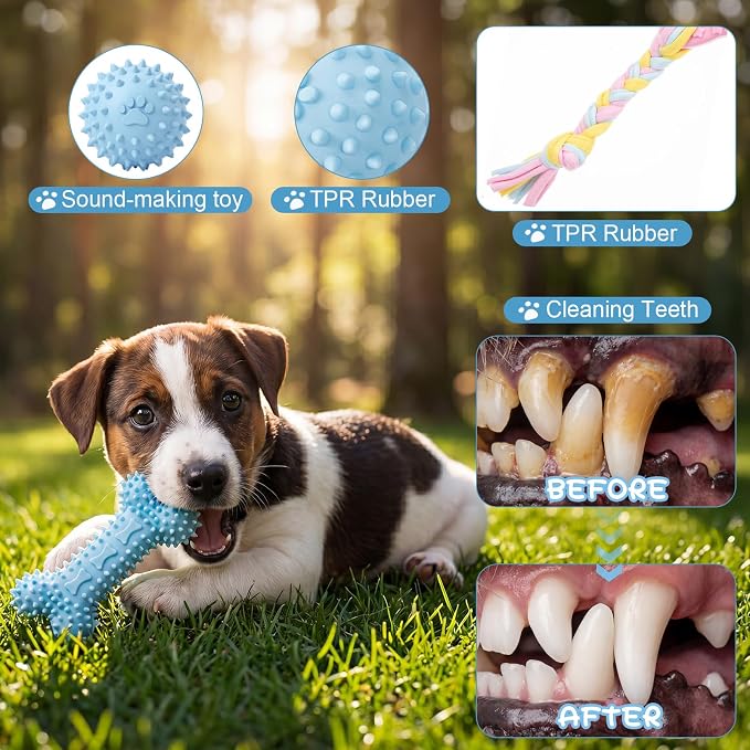 Leitee 14 Pcs Puppy Toys for Teething Dog Chew Toys for Small Dogs Soft Interactive Squeaky Plush Balls Doggy Teeth Tug of War and Rope for Small Dogs Puppy (Classic,Blue)