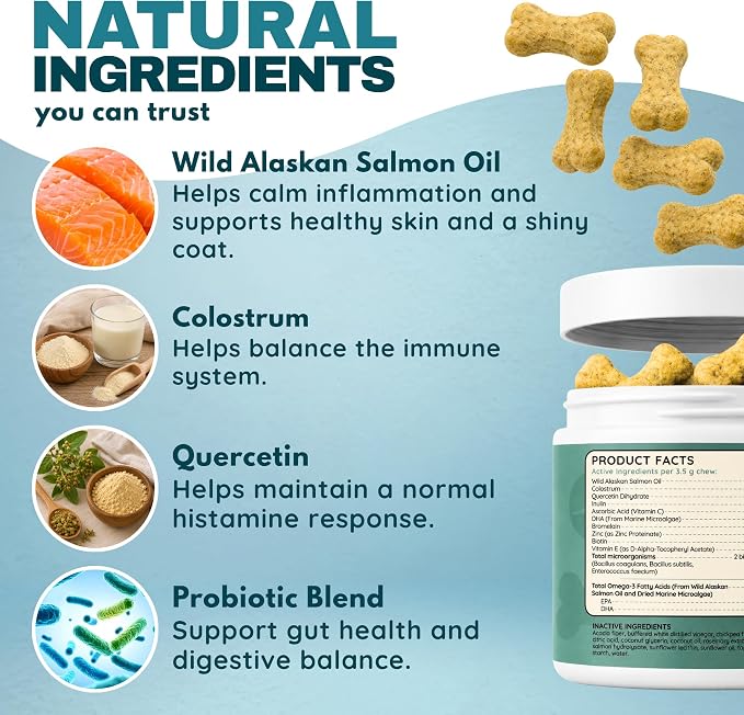 DOOD WOOF Dog Allergy Chews - Itch Relief for Doodles - Vet Formulated - 60 Count Soft Chew Supplement - Skin and Seasonal Allergy Support