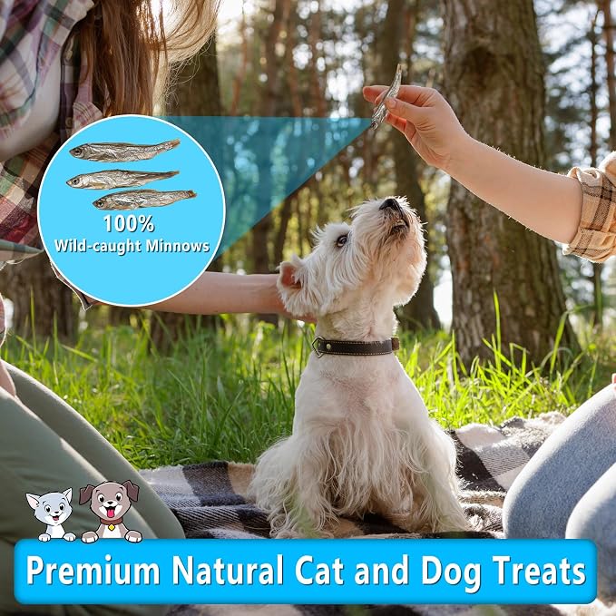 Minnows Dog Treats, Single Ingredient Dried Minnows for Dogs & Cats, Air Dried, Grain-Free, High-Protein, 100% Natural Premium Cat & Dog Treats 8 oz