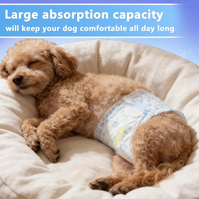 Male Dog Diapers,Dog Diapers Male Disposable with Wetness Indicator,50 Count,Medium,Super Absorbent Leak-Proof Fit for Male Dogs Excitable Urination or Incontinence