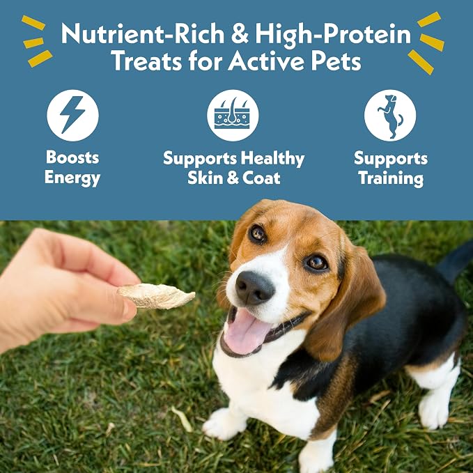 Fresh Is Best Guinea Fowl Tenders Freeze Dried Dog Treats – Raw Freeze Dried Treats for Dogs & Cats in Resealable Zipper Bag – High-Protein Single Ingredient – Made in the USA