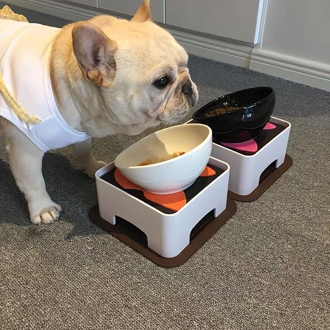 Bulldog Bowl Anti-Slip Dog Cat Dish Detachable Dog Bowls Pet Sterile Tilted Pet Feeder Slope Base (Black,Ceramic - 1.5 Cup