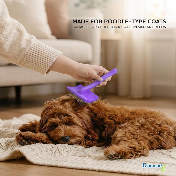 Diamondg Pet Slicker Brush for Dogs & Cats – Professional Grooming Brush for Shedding, Detangling & Coat Maintenance, Gentle Fine Wire Pins, Ergonomic Handle, Purple