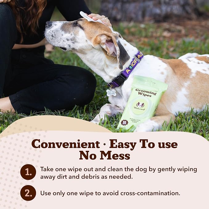 Natural Dog Company Eye & Grooming Wipes Bundle for Dogs – Tear Stain Remover & Full-Body Deodorizing Wipes with Green Tea, Goldenseal & Aloe – Hypoallergenic, Vegan – 100 ct + 50 ct