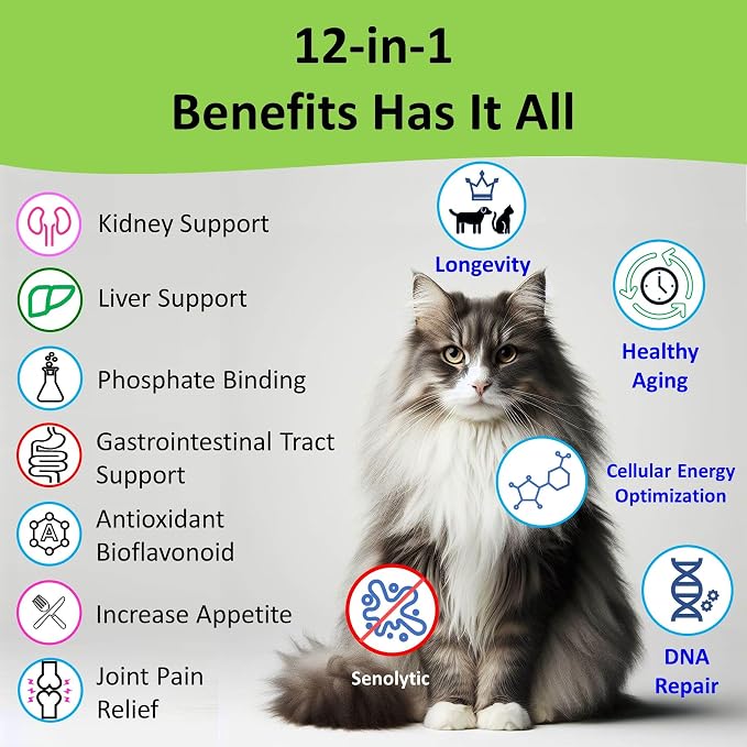 Cat Kidney Support Restore 4 Cats Dogs: 12-in-1 Benefits Super Phosphate Binder w/NMN, Fisetin, Antioxidants, Pre & Probiotic for Healthy Kidney, Liver Functions Anti-Aging & Longevity NAD+ (60 Caps)