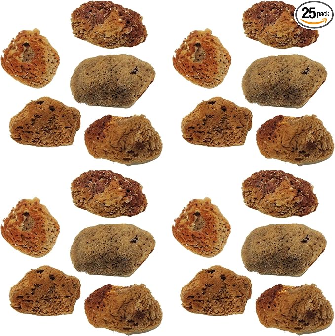 Needzo Hermit Crab Natural Sponge for Water Dish, Drinking and Tank Humidity, Size May Vary, Pack of 25